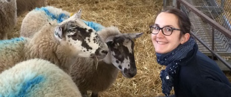 Photograph of researcher with sheep - credit SRUC