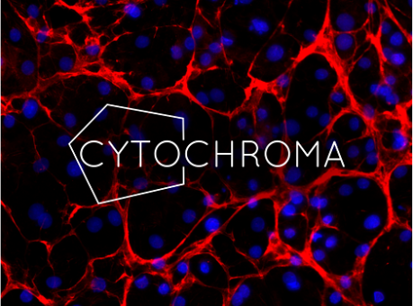 Cytochroma logo