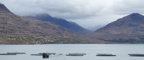 image of fish farm - credit Scottish Funding Council